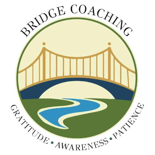 CX-143826_Bridge-Coaching-removebg-preview